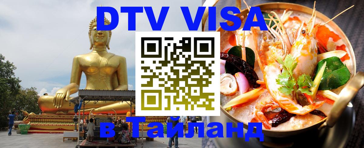 Сколько стоит DTV виза — актуальные цены, оформление даже без документов - Тирана 